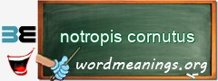 WordMeaning blackboard for notropis cornutus
